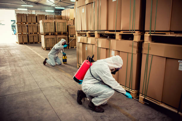 Best Best Pest Control Companies  in Pine Prairie, LA