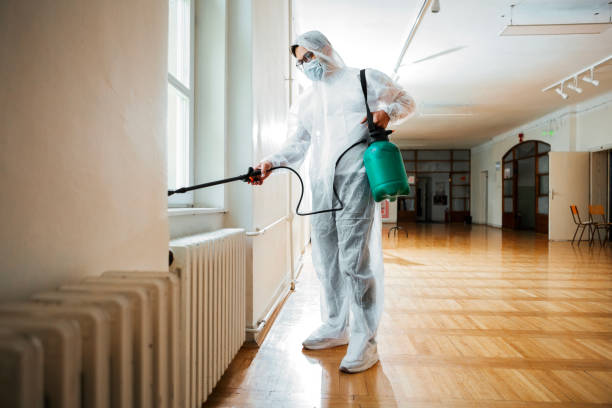 Best Pest Prevention Services  in Pine Prairie, LA